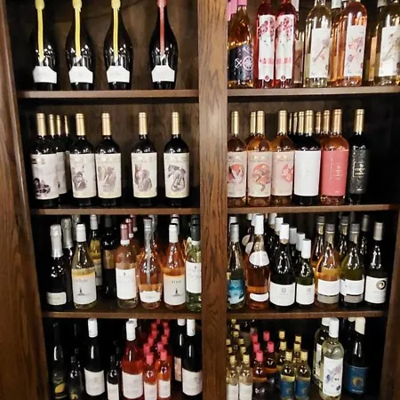 Sea Wolf луксозен с панорамна гледка към морето климатик с нова напълно оборудвана кухня отделна баня с тоалетна гледка към басейна на 30 м от плажа паркинг към хотела навсякъде близо Appartement Lozenets