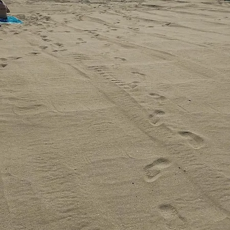 Appartement Sea Wolf луксозен с панорамна гледка към морето климатик с нова напълно оборудвана кухня отделна баня с тоалетна гледка към басейна на 30 м от плажа паркинг към хотела навсякъде близо