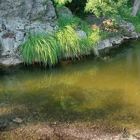 Sea Wolf луксозен с панорамна гледка към морето климатик с нова напълно оборудвана кухня отделна баня с тоалетна гледка към басейна на 30 м от плажа паркинг към хотела навсякъде близо