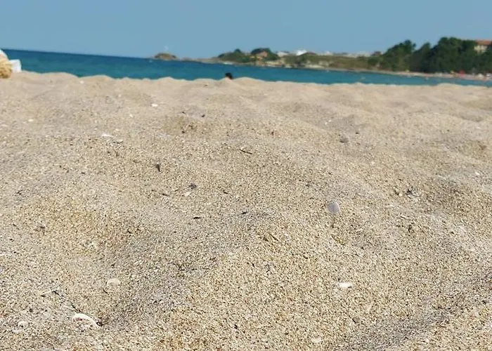 Апартаменты Sea Wolf луксозен с панорамна гледка към морето климатик с нова напълно оборудвана кухня отделна баня с тоалетна гледка към басейна на 30 м от плажа паркинг към хотела навсякъде близо