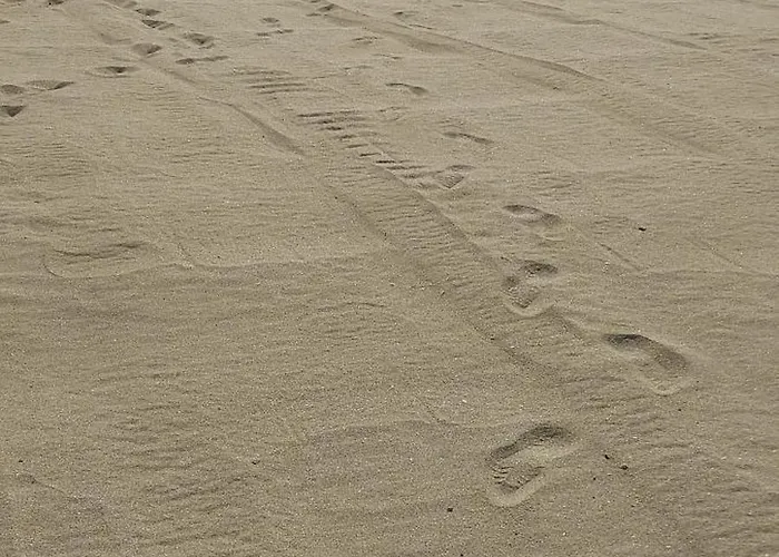 Апартаменты Sea Wolf луксозен с панорамна гледка към морето климатик с нова напълно оборудвана кухня отделна баня с тоалетна гледка към басейна на 30 м от плажа паркинг към хотела навсякъде близо