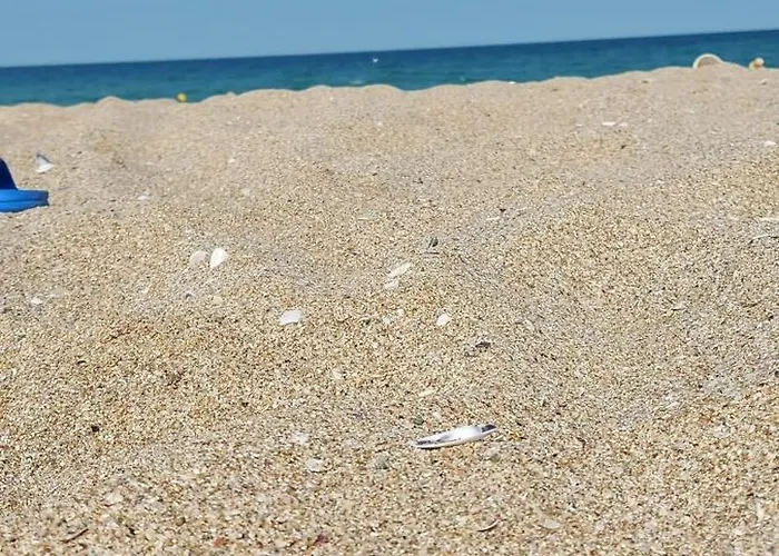 Sea Wolf луксозен с панорамна гледка към морето климатик с нова напълно оборудвана кухня отделна баня с тоалетна гледка към басейна на 30 м от плажа паркинг към хотела навсякъде близо *